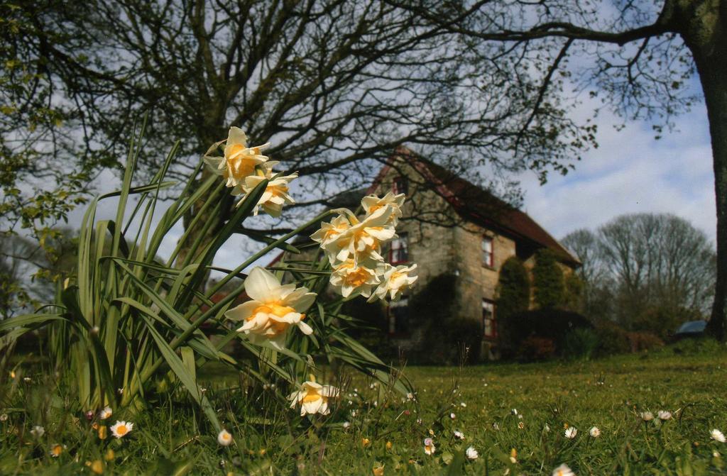 High Farm B&B Pickering Exterior photo